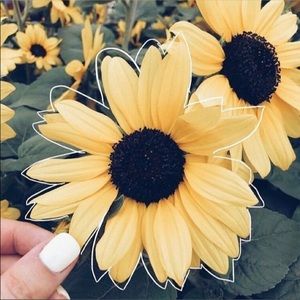 Meet your Posher, Hayley